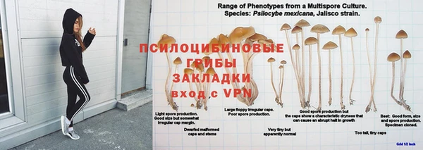 таблы Дмитровск