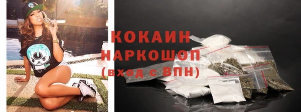 твердый Дмитриев