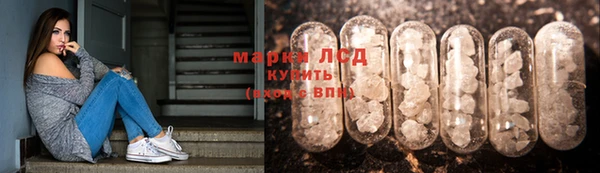 молекула духа Дмитров