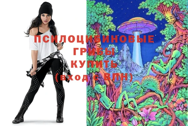 таблы Дмитровск