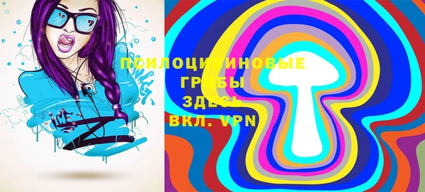 молекула духа Дмитров