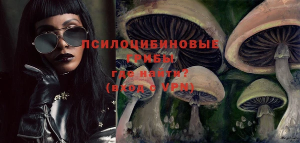 таблы Дмитровск