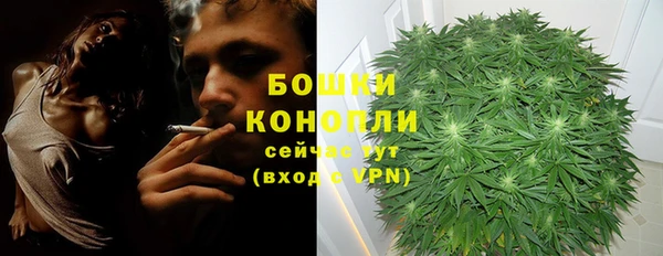 молекула духа Дмитров