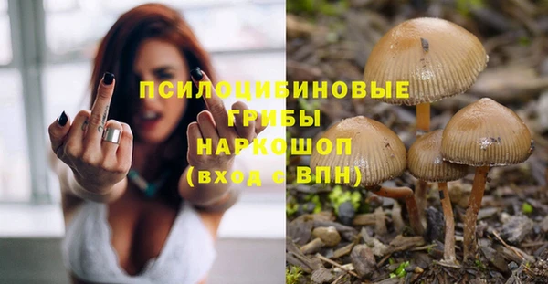 таблы Дмитровск