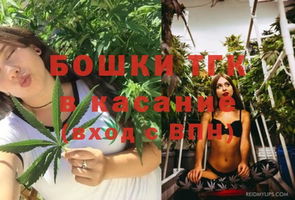 твердый Дмитриев