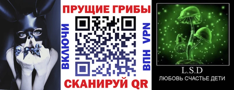 Купить закладки  Торопец  Галлюциногенные грибы GOLDEN TEACHER 