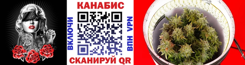 Купить Торопец Шишки марихуана гибрид